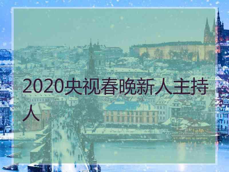 2020央视春晚新人主持人