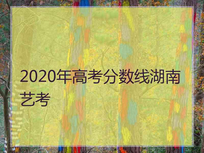 2020年高考分数线湖南艺考