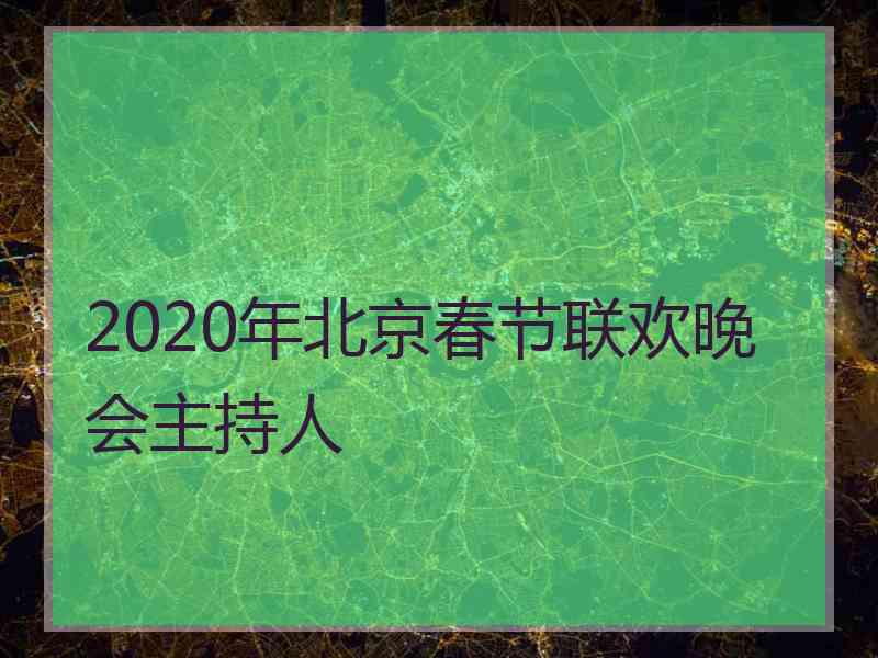 2020年北京春节联欢晚会主持人