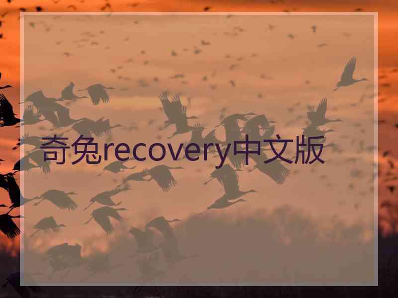 奇兔recovery中文版