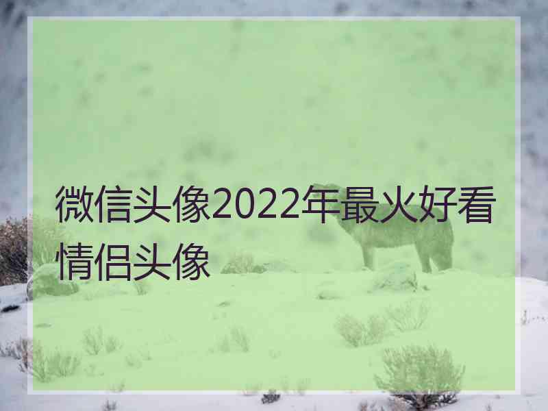 微信头像2022年最火好看情侣头像