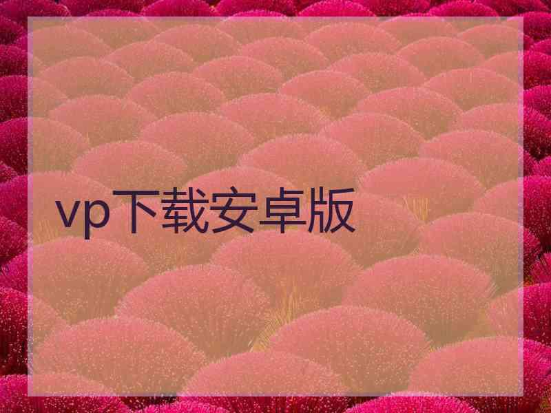 vp下载安卓版