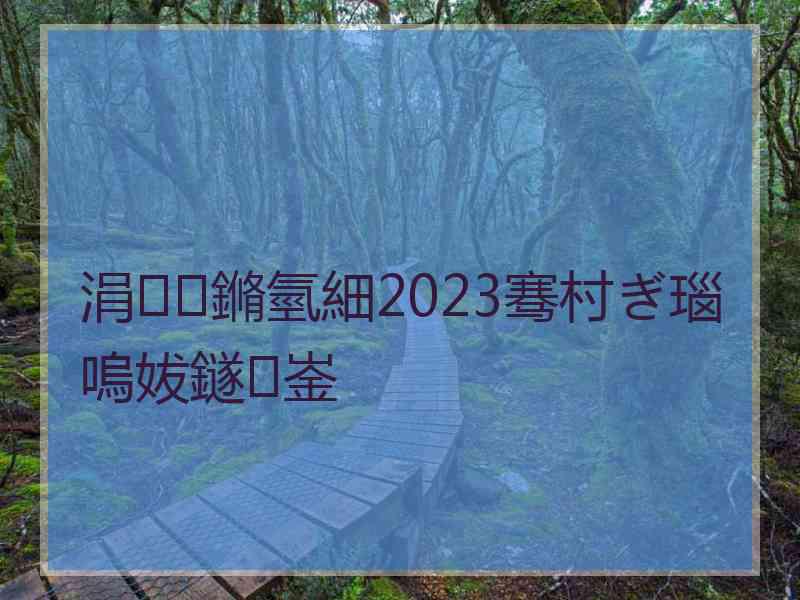 涓鏅氫細2023骞村ぎ瑙嗚妭鐩崟