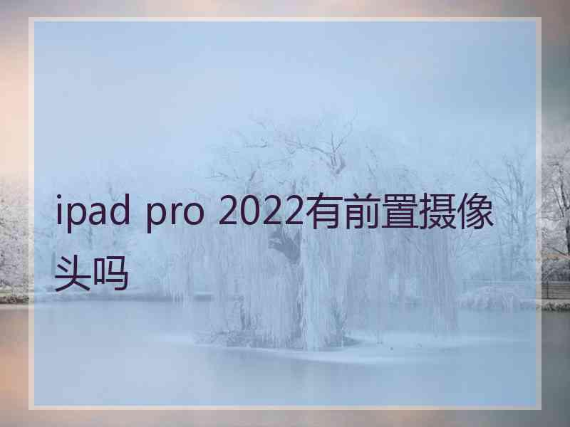 ipad pro 2022有前置摄像头吗