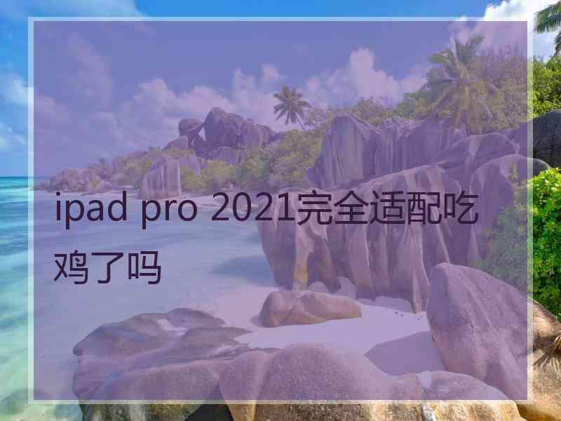 ipad pro 2021完全适配吃鸡了吗