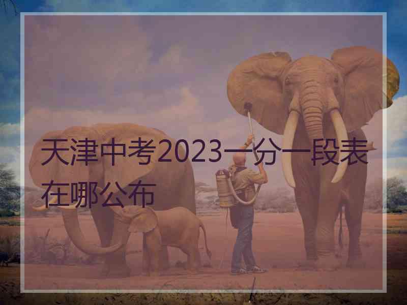 天津中考2023一分一段表在哪公布