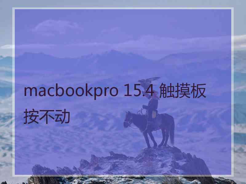 macbookpro 15.4 触摸板按不动