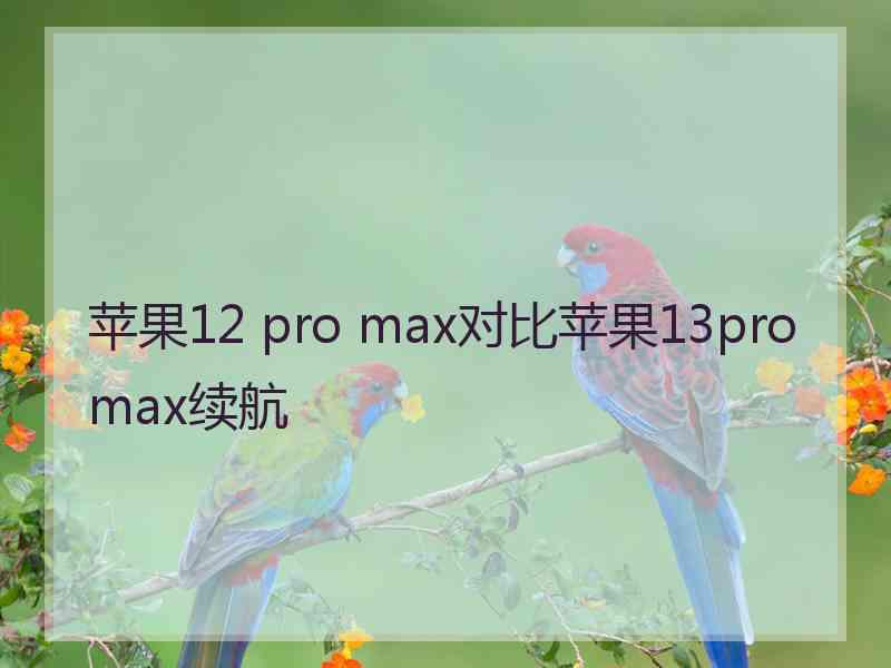 苹果12 pro max对比苹果13promax续航