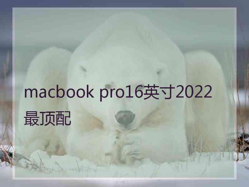 macbook pro16英寸2022最顶配