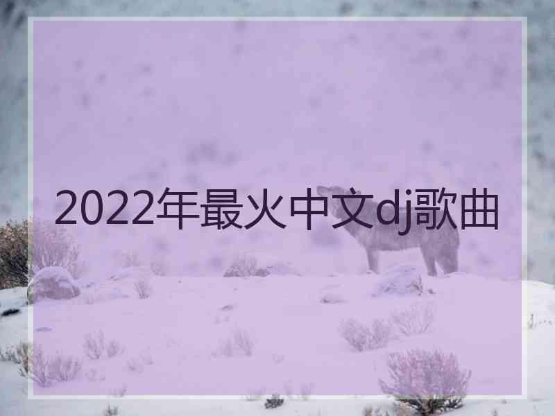 2022年最火中文dj歌曲