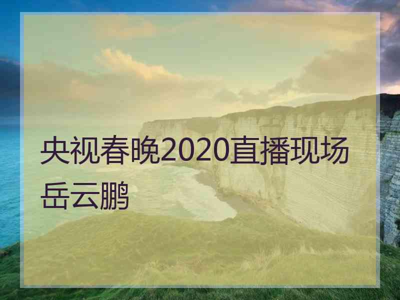 央视春晚2020直播现场岳云鹏