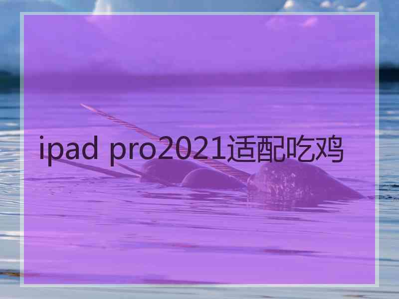 ipad pro2021适配吃鸡