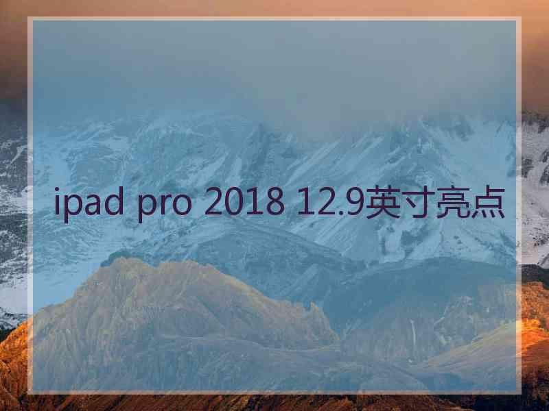 ipad pro 2018 12.9英寸亮点