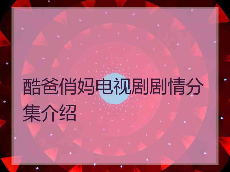 酷爸俏妈电视剧剧情分集介绍