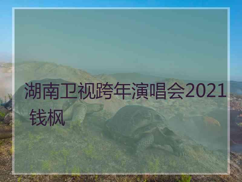 湖南卫视跨年演唱会2021 钱枫