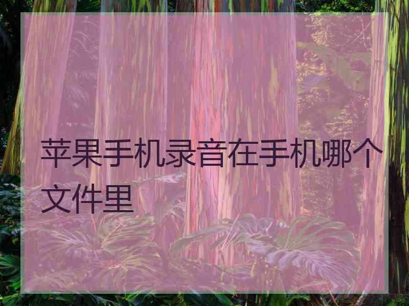 苹果手机录音在手机哪个文件里