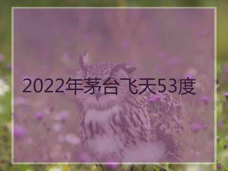 2022年茅台飞天53度