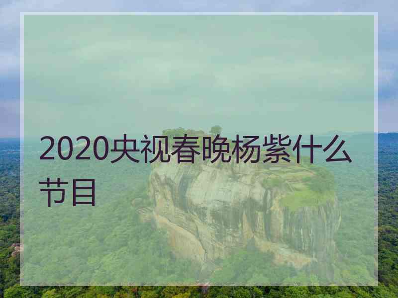 2020央视春晚杨紫什么节目