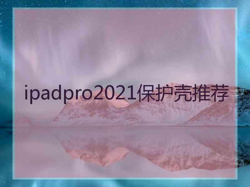 ipadpro2021保护壳推荐