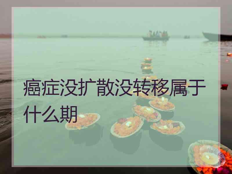 癌症没扩散没转移属于什么期