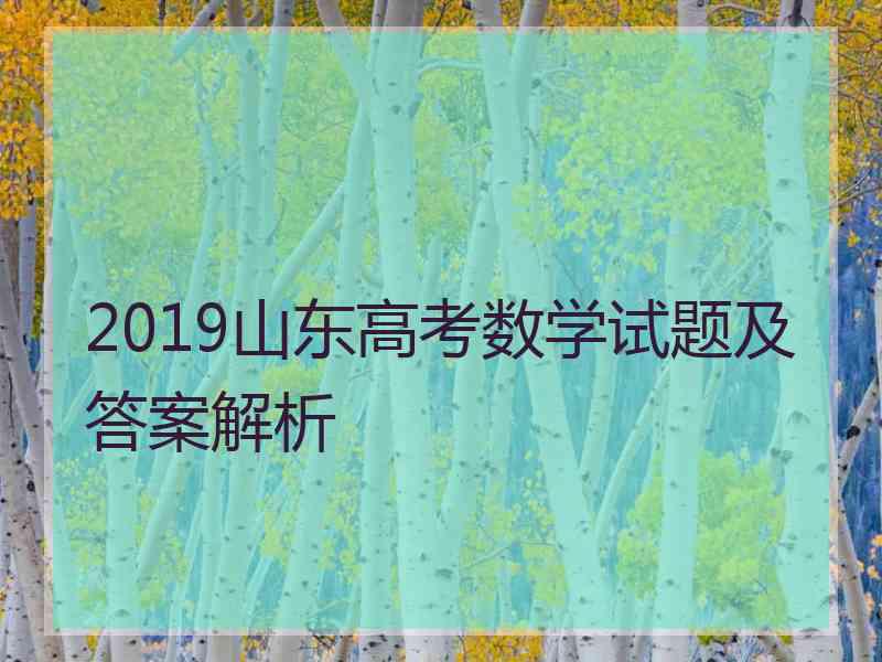 2019山东高考数学试题及答案解析