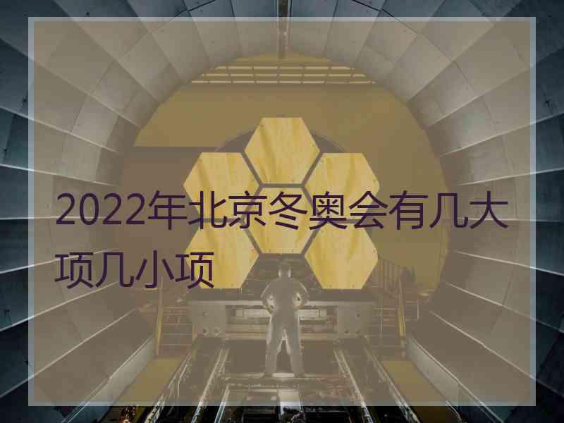 2022年北京冬奥会有几大项几小项