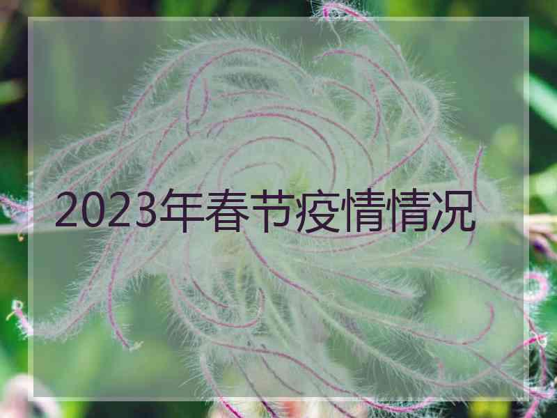 2023年春节疫情情况