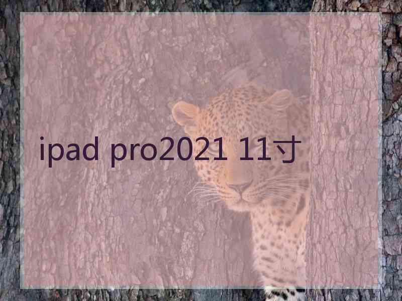 ipad pro2021 11寸