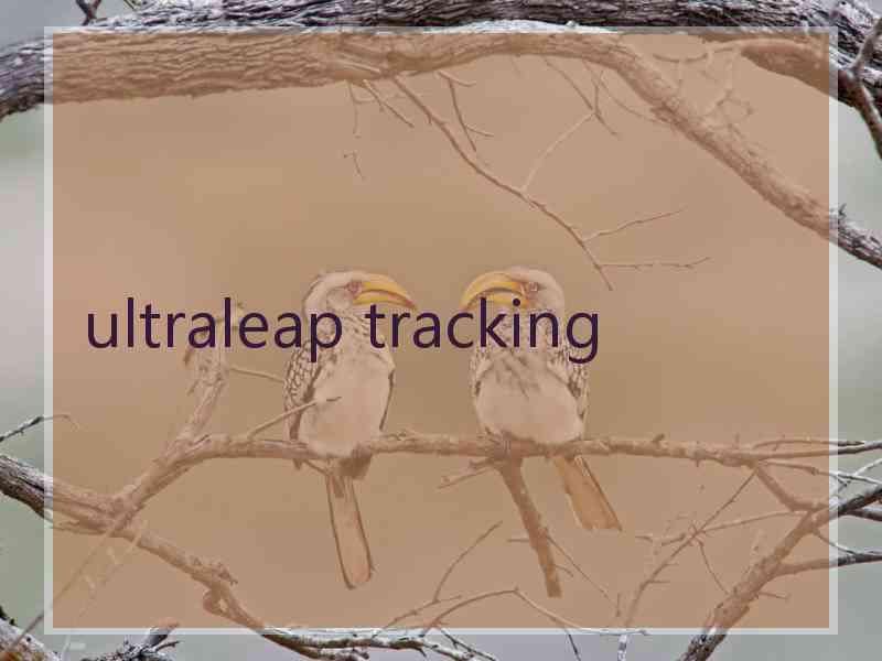 ultraleap tracking