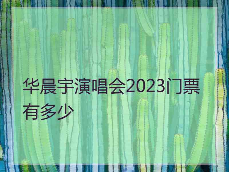 华晨宇演唱会2023门票有多少