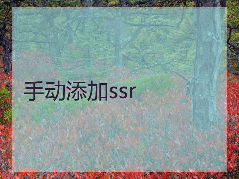 手动添加ssr