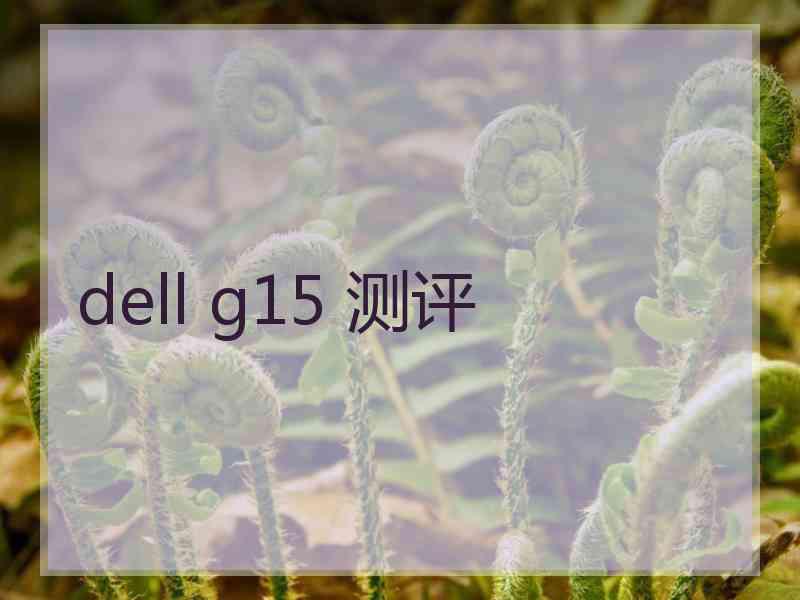 dell g15 测评