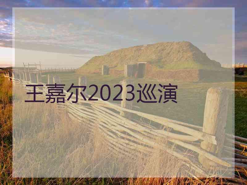 王嘉尔2023巡演