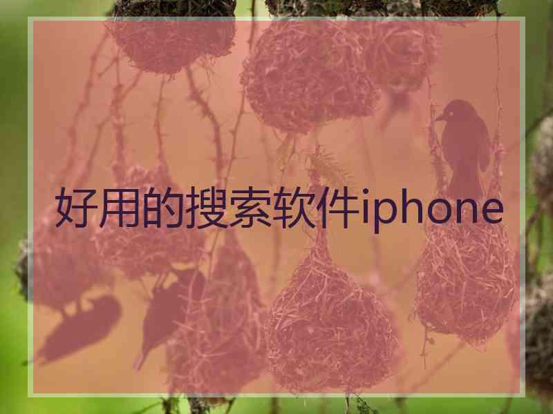 好用的搜索软件iphone