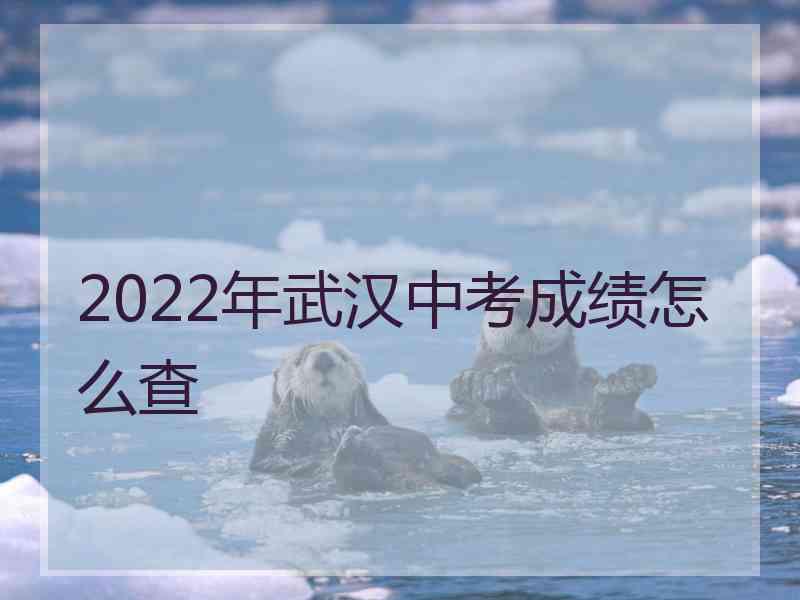 2022年武汉中考成绩怎么查