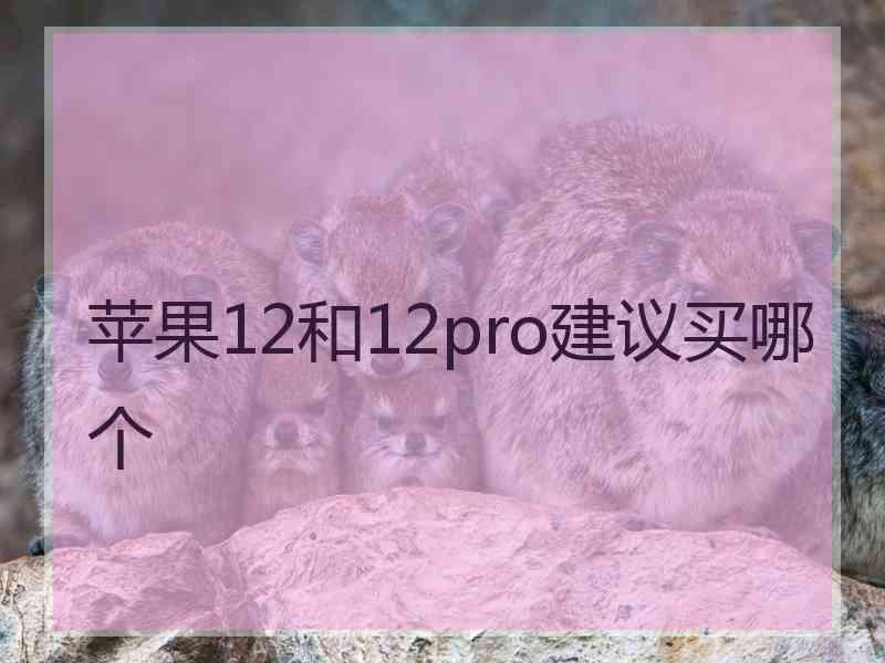 苹果12和12pro建议买哪个