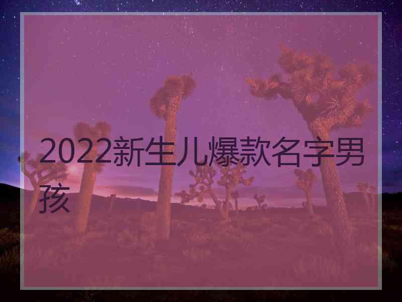 2022新生儿爆款名字男孩