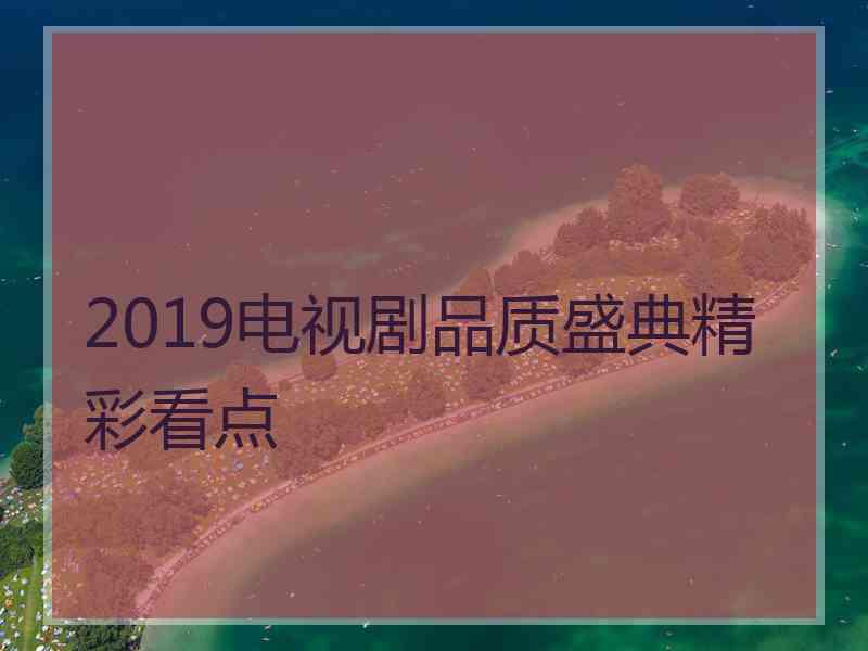 2019电视剧品质盛典精彩看点