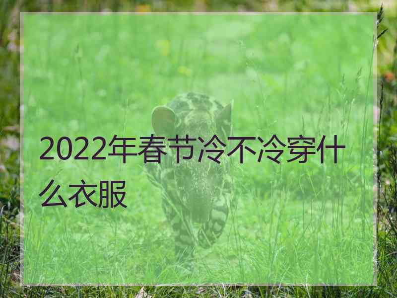 2022年春节冷不冷穿什么衣服