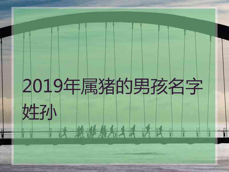 2019年属猪的男孩名字姓孙