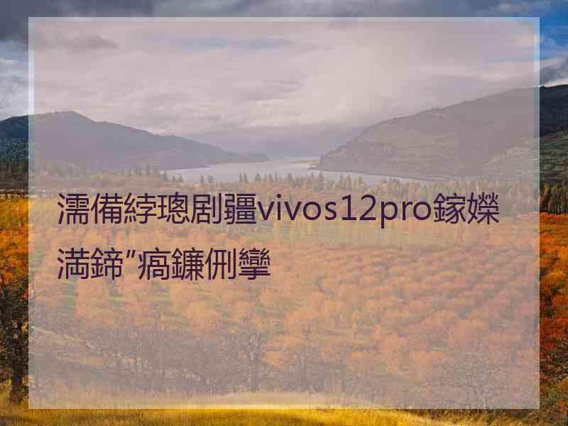 濡備綍璁剧疆vivos12pro鎵嬫満鍗″瘑鐮侀攣