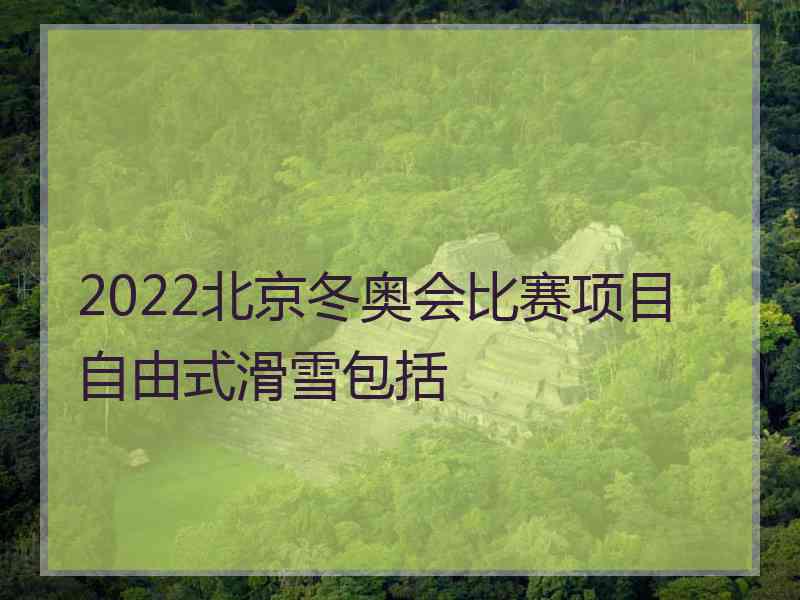 2022北京冬奥会比赛项目自由式滑雪包括