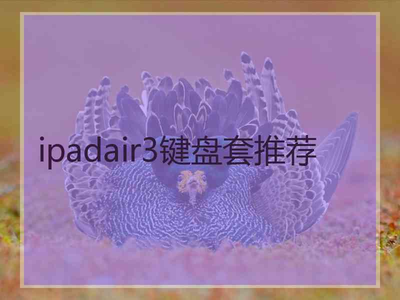 ipadair3键盘套推荐