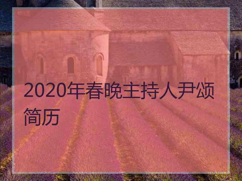 2020年春晚主持人尹颂简历