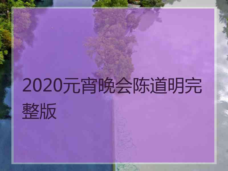 2020元宵晚会陈道明完整版