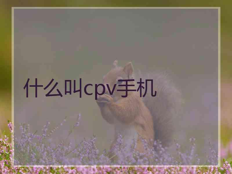 什么叫cpv手机