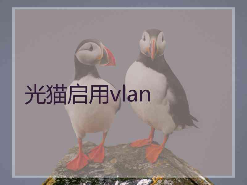 光猫启用vlan