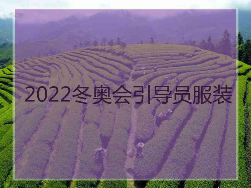 2022冬奥会引导员服装