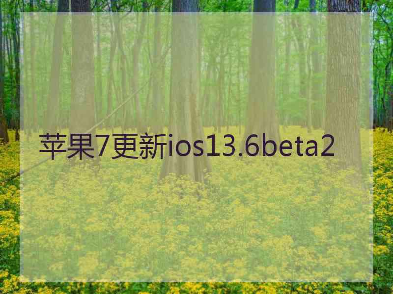 苹果7更新ios13.6beta2