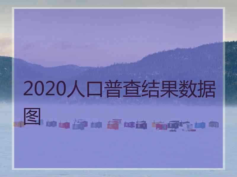 2020人口普查结果数据图